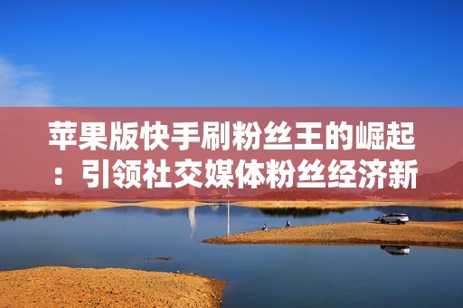 苹果版快手刷粉丝王的崛起：引领社交媒体粉丝经济新浪潮