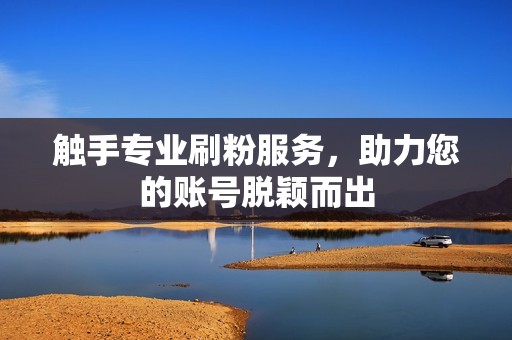 触手专业刷粉服务,助力您的账号脱颖而出 触手专业刷粉服务,助力您的账号脱颖而出