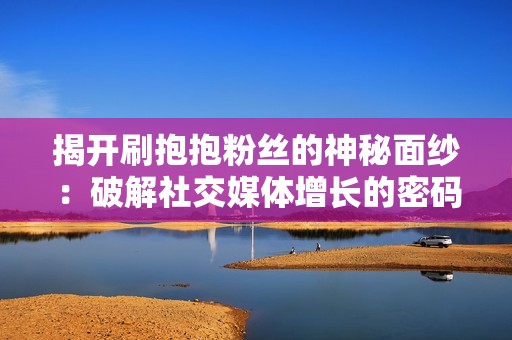 揭开刷抱抱粉丝的神秘面纱：破解社交媒体增长的密码