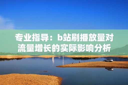 专业指导：b站刷播放量对流量增长的实际影响分析