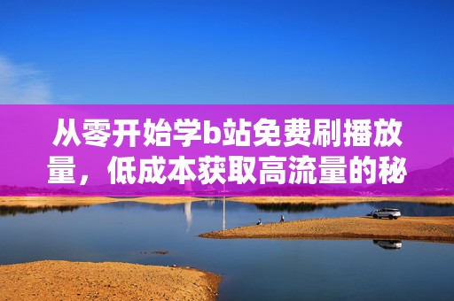 从零开始学b站免费刷播放量,低成本获取高流量的秘诀 从零开始学b站免费刷播放量,低成本获取高流量的秘诀