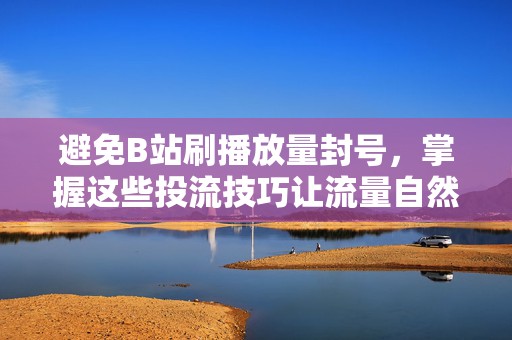 避免B站刷播放量封号，掌握这些投流技巧让流量自然增长