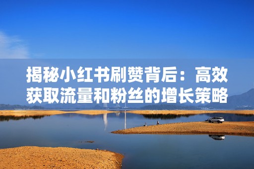 揭秘小红书刷赞背后：高效获取流量和粉丝的增长策略