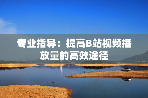 专业指导：提高B站视频播放量的高效途径