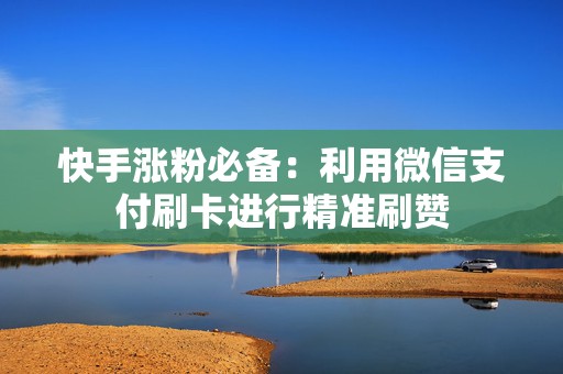 快手涨粉必备：利用微信支付刷卡进行精准刷赞