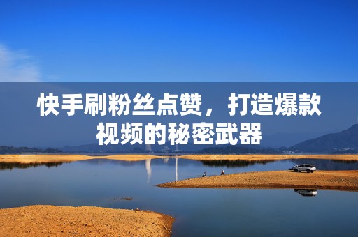 快手刷粉丝点赞，打造爆款视频的秘密武器