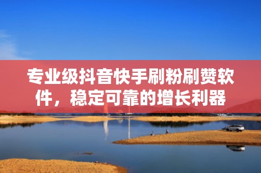 专业级抖音快手刷粉刷赞软件，稳定可靠的增长利器
