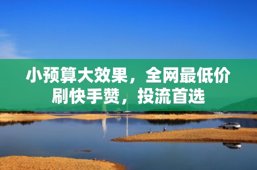 小预算大效果，全网最低价刷快手赞，投流首选