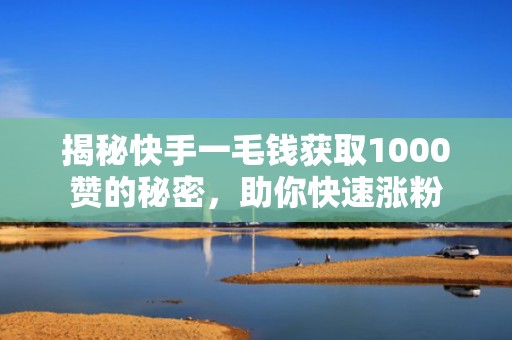 揭秘快手一毛钱获取1000赞的秘密，助你快速涨粉