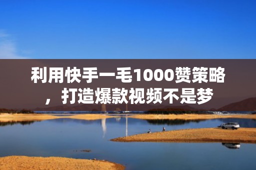 利用快手一毛1000赞策略，打造爆款视频不是梦