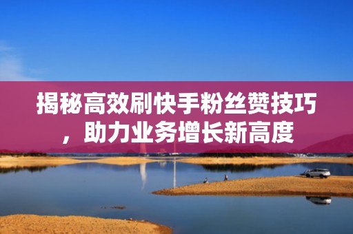 揭秘高效刷快手粉丝赞技巧，助力业务增长新高度