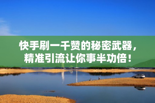 快手刷一千赞的秘密武器，精准引流让你事半功倍！