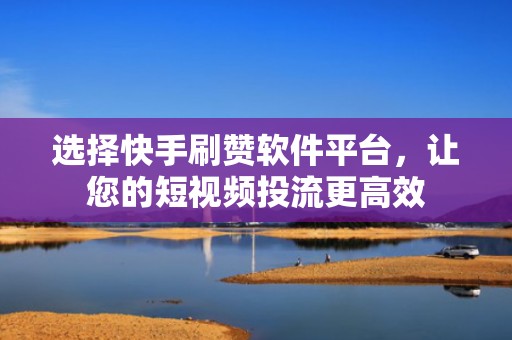 选择快手刷赞软件平台，让您的短视频投流更高效