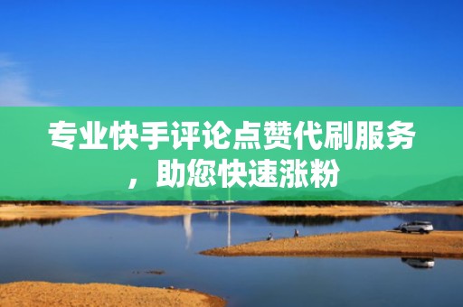 专业快手评论点赞代刷服务，助您快速涨粉
