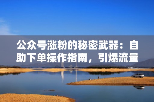 公众号涨粉的秘密武器：自助下单操作指南，引爆流量