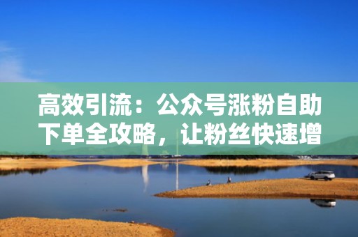 高效引流：公众号涨粉自助下单全攻略，让粉丝快速增长