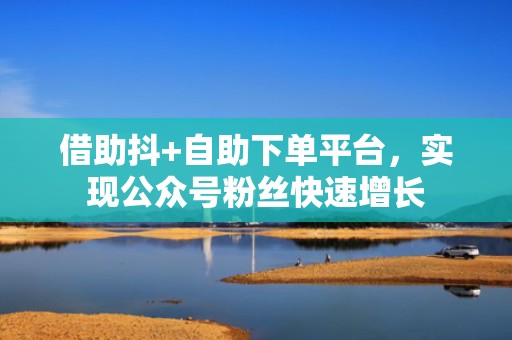 借助抖+自助下单平台，实现公众号粉丝快速增长