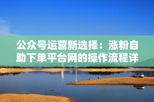 公众号运营新选择：涨粉自助下单平台网的操作流程详解