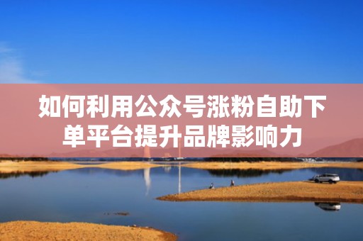 如何利用公众号涨粉自助下单平台提升品牌影响力