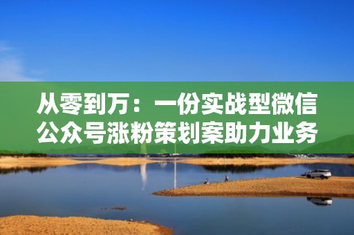 从零到万：一份实战型微信公众号涨粉策划案助力业务扩展