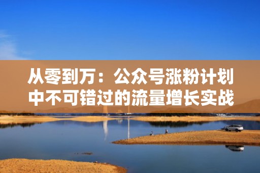 从零到万：公众号涨粉计划中不可错过的流量增长实战指南