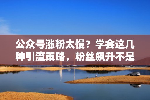 公众号涨粉太慢？学会这几种引流策略，粉丝飙升不是梦