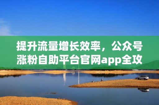 提升流量增长效率，公众号涨粉自助平台官网app全攻略