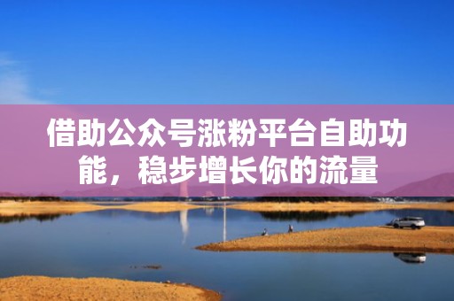 借助公众号涨粉平台自助功能，稳步增长你的流量