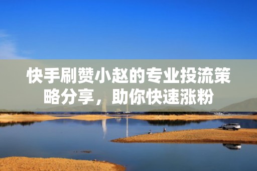 快手刷赞小赵的专业投流策略分享，助你快速涨粉