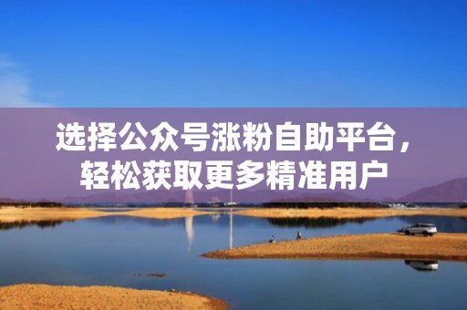 选择公众号涨粉自助平台,轻松获取更多精准用户 选择公众号涨粉自助平台,轻松获取更多精准用户