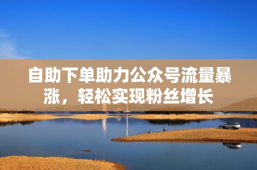 自助下单助力公众号流量暴涨，轻松实现粉丝增长