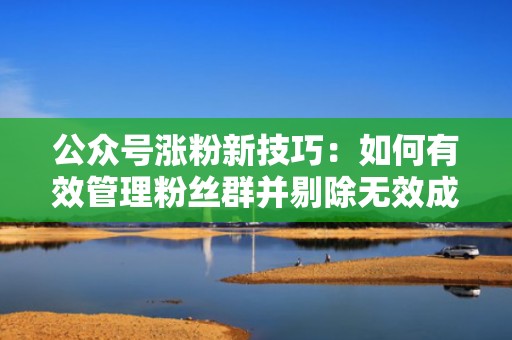 公众号涨粉新技巧：如何有效管理粉丝群并剔除无效成员