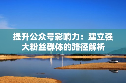 提升公众号影响力：建立强大粉丝群体的路径解析