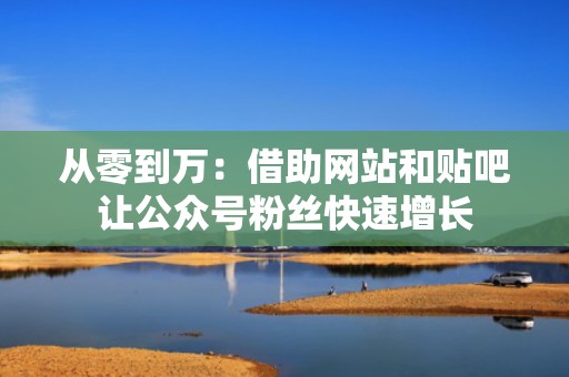 从零到万：借助网站和贴吧让公众号粉丝快速增长