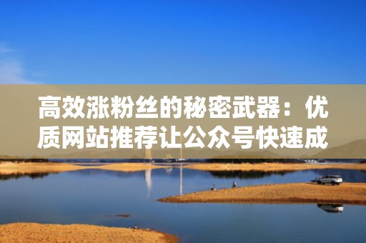 高效涨粉丝的秘密武器：优质网站推荐让公众号快速成长