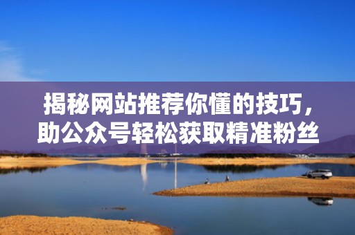 揭秘网站推荐你懂的技巧，助公众号轻松获取精准粉丝