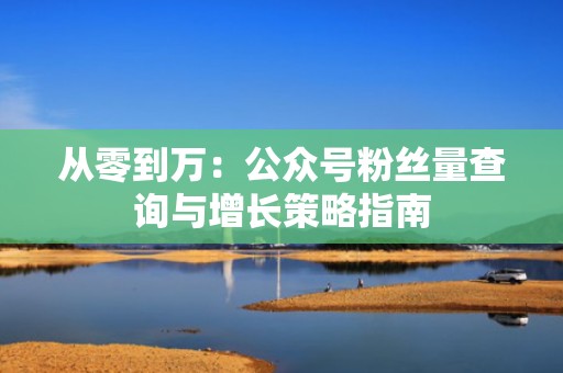 从零到万：公众号粉丝量查询与增长策略指南