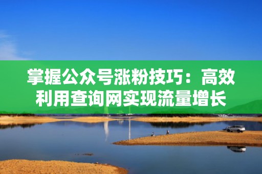 掌握公众号涨粉技巧：高效利用查询网实现流量增长