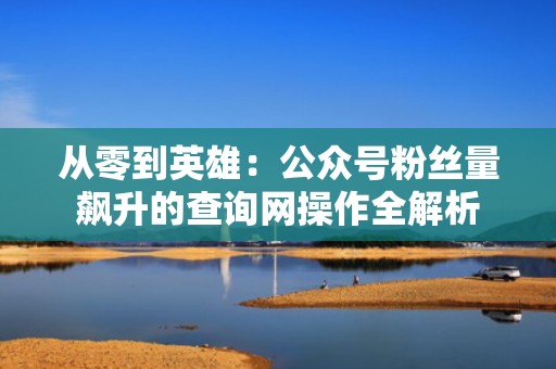 从零到英雄：公众号粉丝量飙升的查询网操作全解析