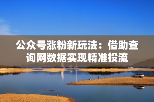 公众号涨粉新玩法：借助查询网数据实现精准投流