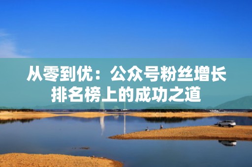 从零到优：公众号粉丝增长排名榜上的成功之道