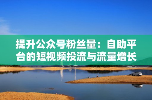 提升公众号粉丝量：自助平台的短视频投流与流量增长策略