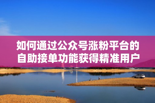 如何通过公众号涨粉平台的自助接单功能获得精准用户