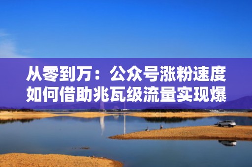从零到万：公众号涨粉速度如何借助兆瓦级流量实现爆发
