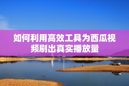 如何利用高效工具为西瓜视频刷出真实播放量