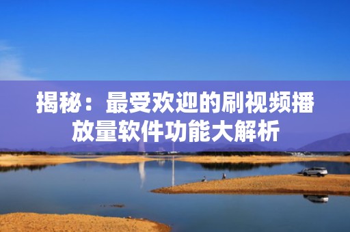 揭秘：最受欢迎的刷视频播放量软件功能大解析