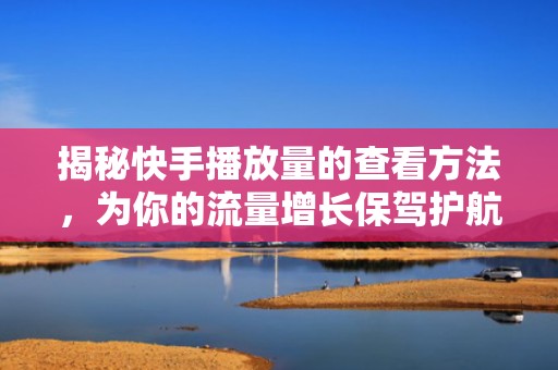揭秘快手播放量的查看方法，为你的流量增长保驾护航