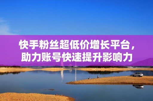 快手粉丝超低价增长平台，助力账号快速提升影响力