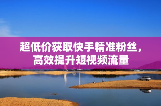超低价获取快手精准粉丝，高效提升短视频流量