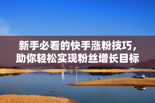 新手必看的快手涨粉技巧，助你轻松实现粉丝增长目标